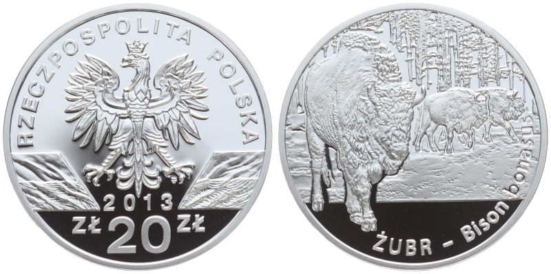 Polen 20 Zloty 2013 - Zubr - Bison